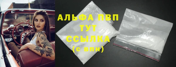 PSILOCYBIN Инта