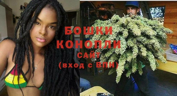 ПСИЛОЦИБИНОВЫЕ ГРИБЫ Каменногорск