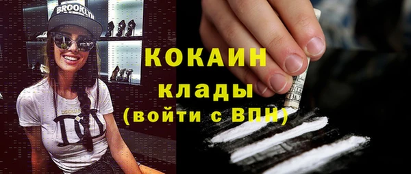 прущий лед Каменка