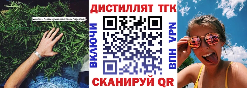 Купить где  Кашин  ТГК концентрат 