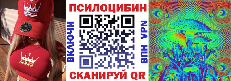 Галлюциногенные грибы Cubensis  Купить где  Кашин 