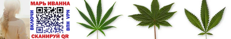 Бошки марихуана THC 21% Кашин